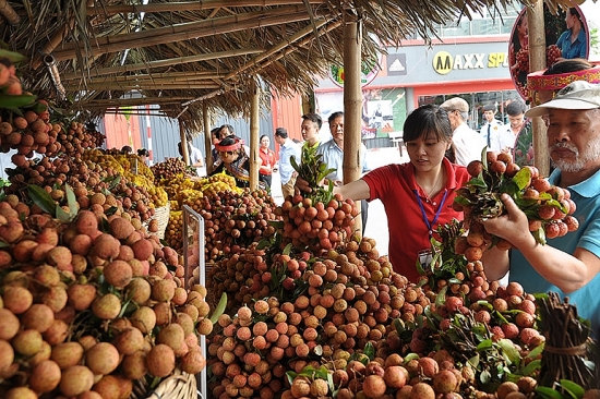 Bộ Công Thương: Xây dựng hệ thống phân phối gắn với an toàn thực phẩm