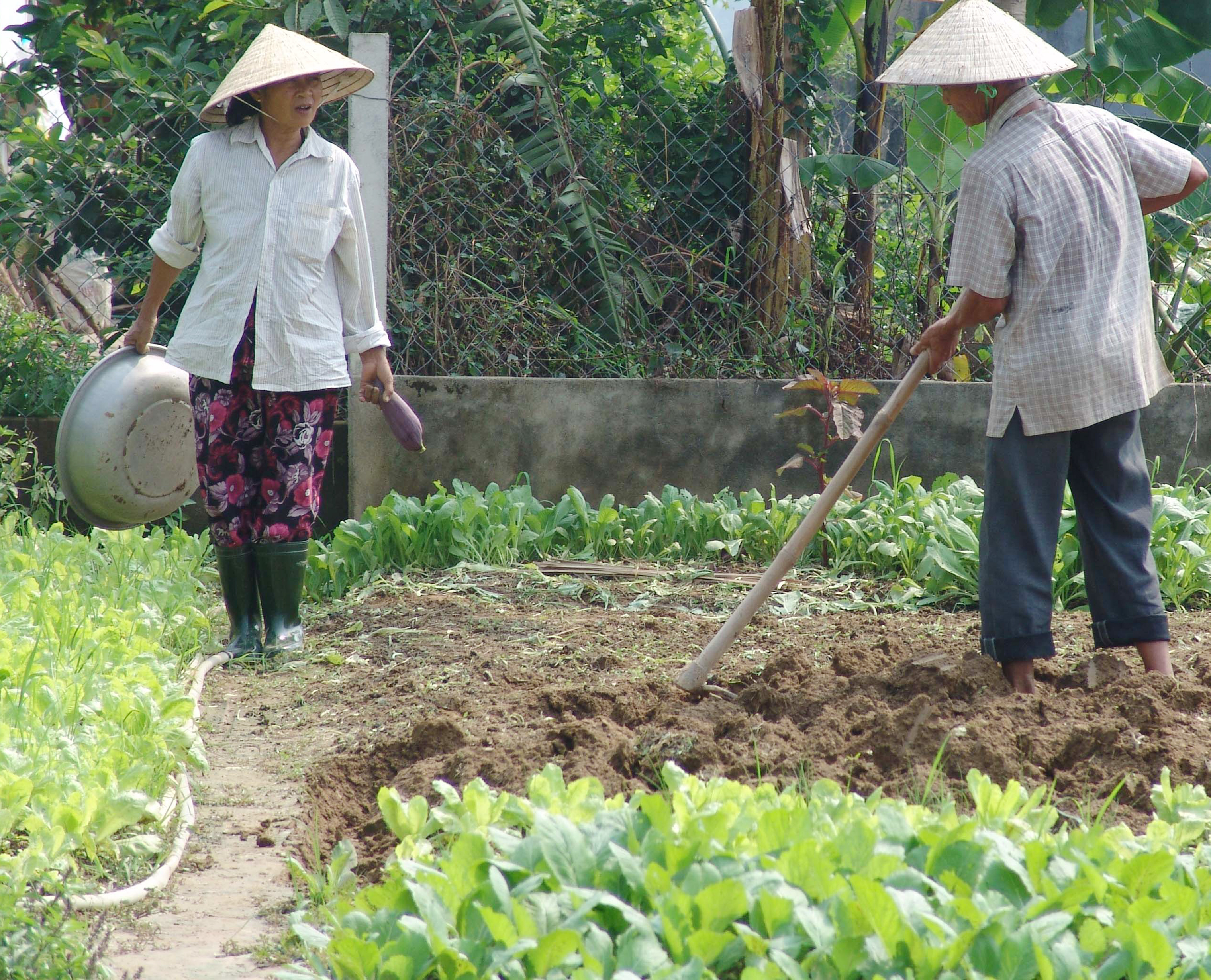 Cách nào đảm bảo ổn định cuộc sống cho đồng bào?