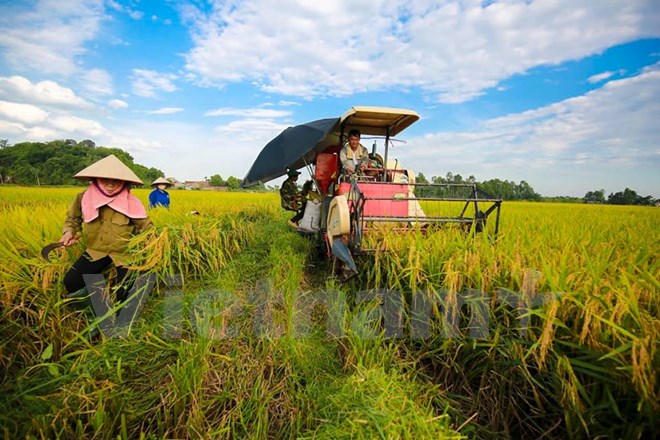 Tỉnh Trà Vinh tập trung tái cơ cấu nông nghiệp ở 6 lĩnh vực