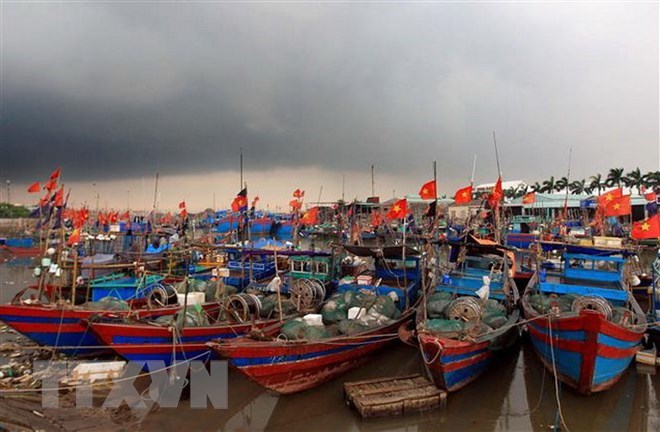 chu dong ung pho voi ap thap nhiet doi va sieu bao mangkhut