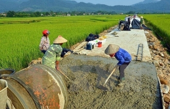 Chuẩn bị tổ chức Hội nghị trực tuyến toàn quốc về tam nông