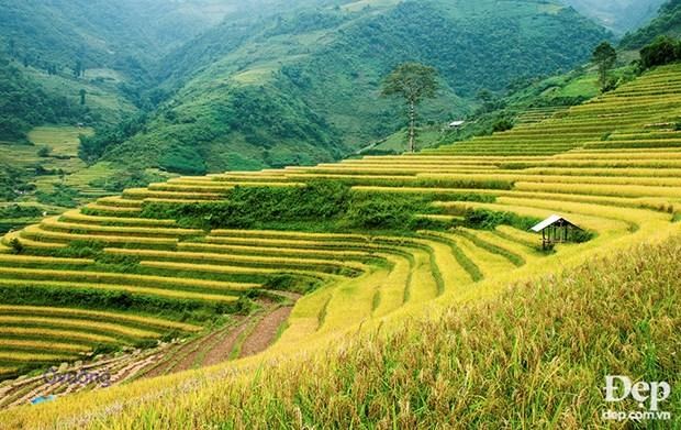 kham pha ruong bac thang mu cang chai va le hoi van hoa muong lo