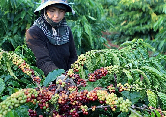 nhap lan cao toc evfta ky ii chuyen tu luong sang chat