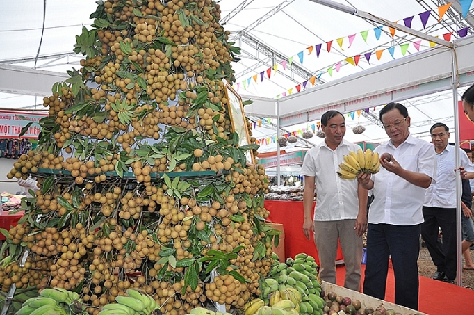 nhieu nong dan thu ve tien ty