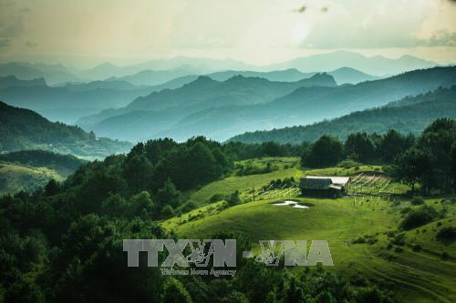 rung quoc gia phia oac phia den vien ngoc quy cua cao bang