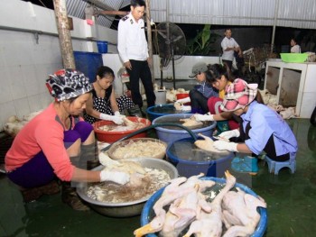 Cảnh báo nguy cơ lây lan dịch bệnh trên vật nuôi dịp Tết Nguyên đán