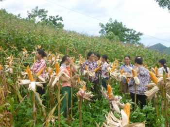 Khai thác lợi thế bằng khoa học công nghệ