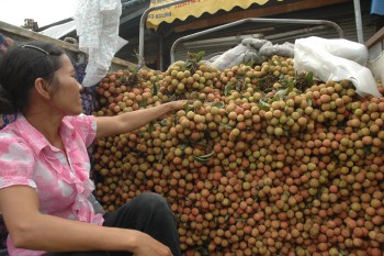 Thông “điểm nghẽn” tiêu thụ nông sản