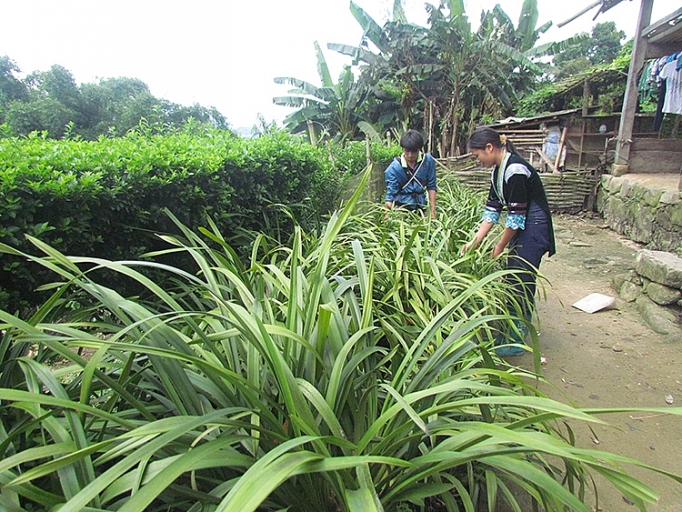 len sin suoi ho xem nguoi mong lam du lich