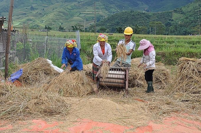 giam ngheo o viet nam 6 trieu nguoi da thoat ngheo