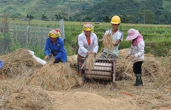 giam ngheo o viet nam 6 trieu nguoi da thoat ngheo