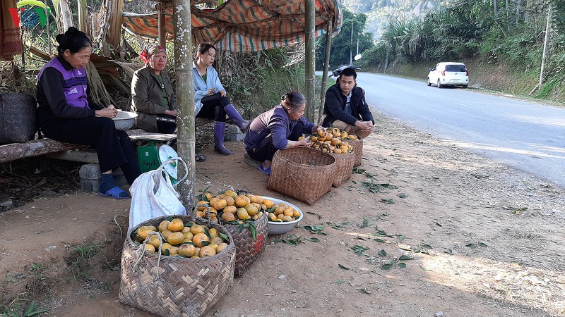 loay hoay tim dau ra cho quyt bac kan