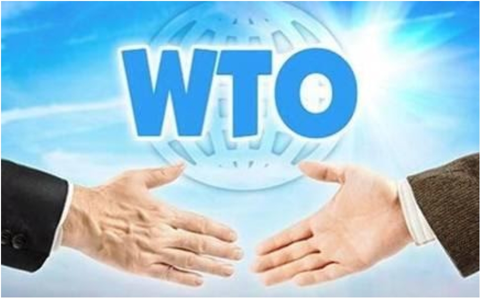 WTO: 25 năm thách thức và khủng hoảng