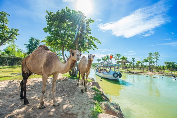 Kich cau du lich noi dia ‘thoi COVID’: Khong chi dung o lien ket hinh anh 4