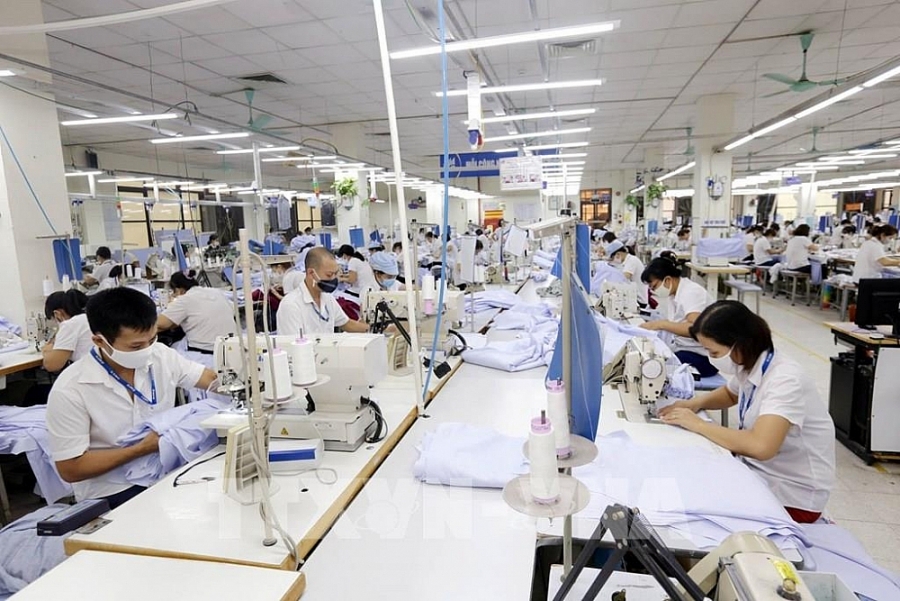 Tiếp cận thị trường quốc tế: Muốn đi xa, hãy đi cùng nhau