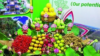 bac cau cho nong san viet