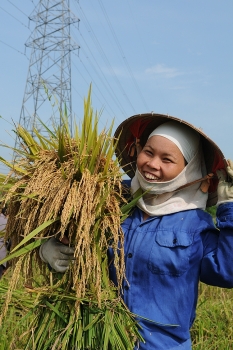 nganh cong thuong dong thap nang gia tri cho nong san