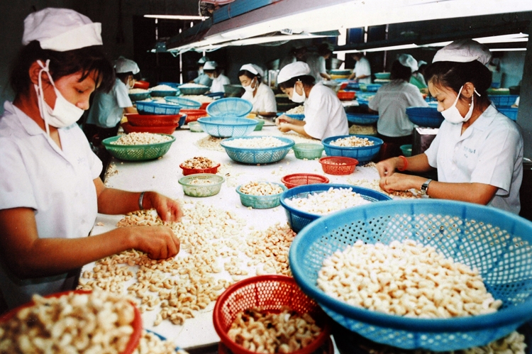 nganh dieu binh phuoc chu trong che bien sau