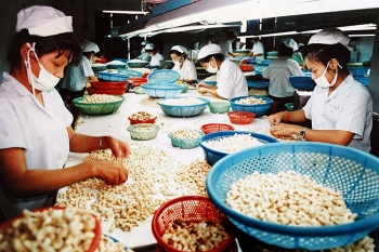 nganh dieu binh phuoc chu trong che bien sau