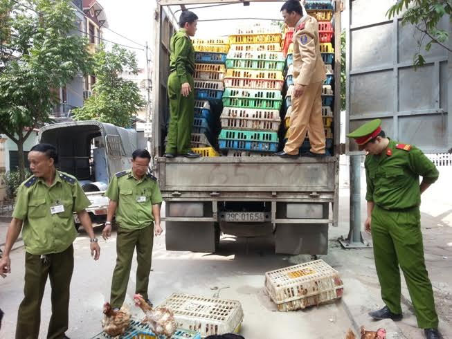 Quản lý thị trường Hải Phòng: Vào cuộc quyết liệt