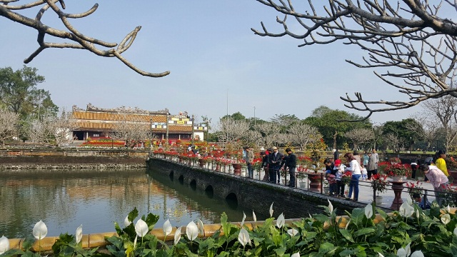 Cầu Trung Đạo dẫn vào điện Thái Hòa được trang trí với nhiều hoa thơm cỏ lạ ngày đầu năm Bính Thân (ảnh: TS. Phan Thanh Hải cung cấp)