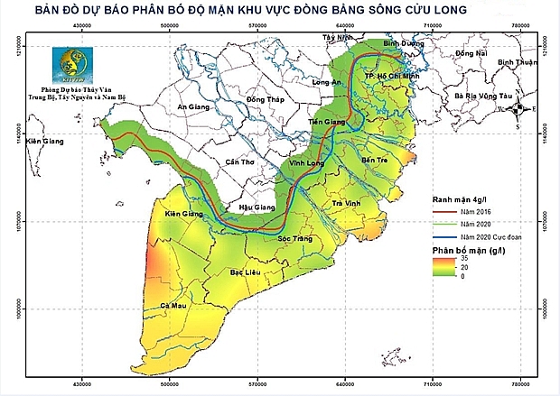 vua lua so 1 viet nam xam nhap man con tang tu cac dot trieu cuong