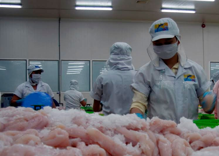 Việt Nam có 23 nhà máy chế biến cá tra được xuất khẩu vào Hoa Kỳ