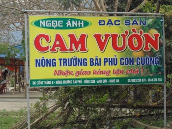 Đua nhau trồng cam, Con Cuông đứng trước bài toán cung vượt cầu