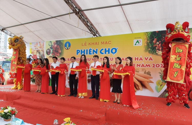 khai mac phien cho quang ba tieu thu vai thieu thanh ha va nong san thuc pham an toan tai ha noi