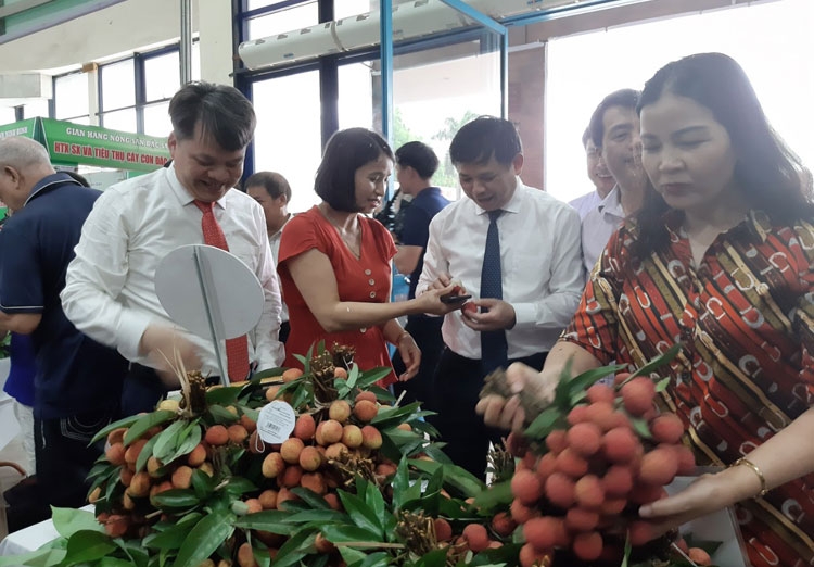 khai mac phien cho quang ba tieu thu vai thieu thanh ha va nong san thuc pham an toan tai ha noi