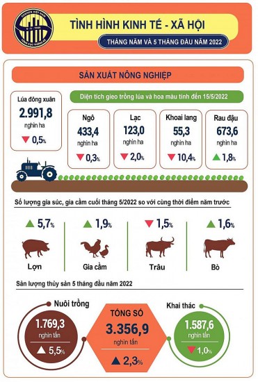 Kinh tế - xã hội 5 tháng đầu năm tiếp tục đà phục hồi