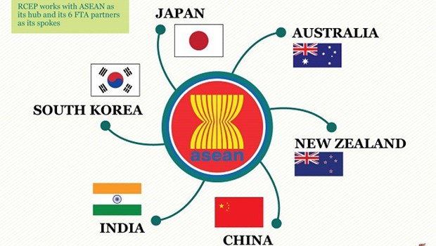 Hoc gia An Do: Viet Nam chu dong trong viec thuc day dam phan RCEP hinh anh 1