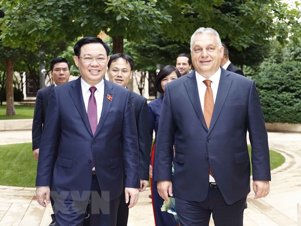 Thuc day, lam sau sac hon moi quan he giua Viet Nam voi Hungary va Anh hinh anh 1