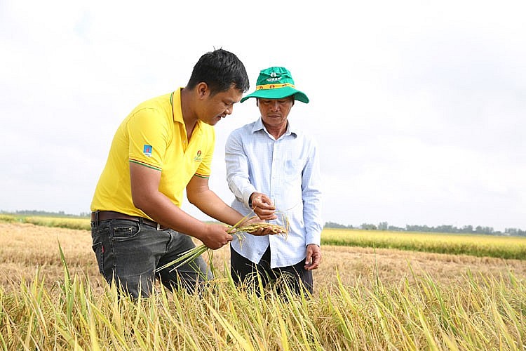 Phân bón Cà Mau: Hoạt động 111% công suất, nộp ngân sách nhà nước vượt xa kế hoạch 6 tháng đầu năm