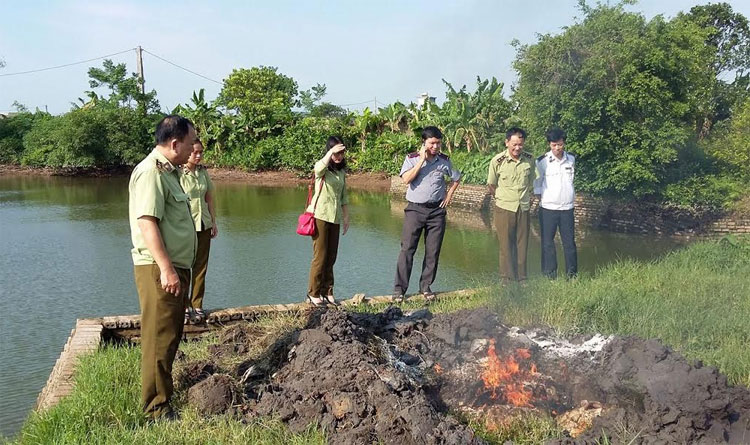 Thái Bình: Tiêu hủy 403kg thực phẩm không rõ nguồn gốc