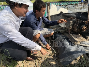 Kiểm tra an toàn điện tại các hộ nuôi tôm