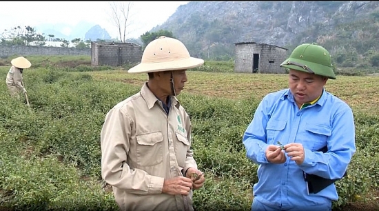 phan trung kien kho i nghiep tha nh cong voi ca gai leo