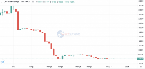 Thaiholdings: Lãi sau thuế giảm một nửa, cổ phiếu lao dốc, dang dở “giấc mơ vũ trụ”