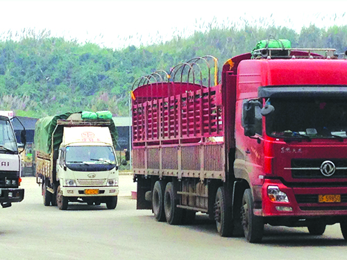 Giao thương qua các cửa khẩu Lào Cai: Tiếp đà sôi động