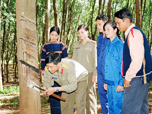 Đầu tư có trọng điểm cho vùng lõi nghèo