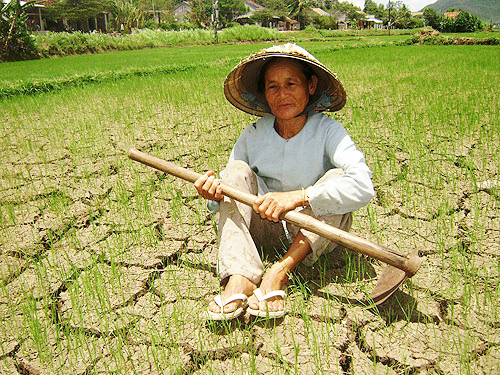 Chống khô hạn tại miền Trung - Tây Nguyên: Cần giải pháp căn cơ