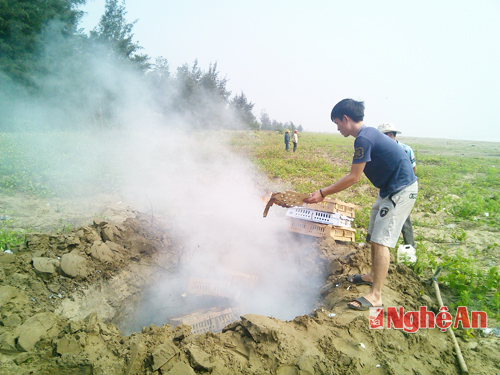 Nghệ An: Tiêu hủy 13.000 con gia cầm không rõ nguồn gốc