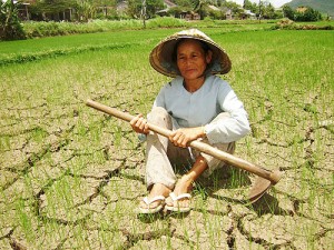 Chống khô hạn tại miền Trung - Tây Nguyên: Cần giải pháp căn cơ