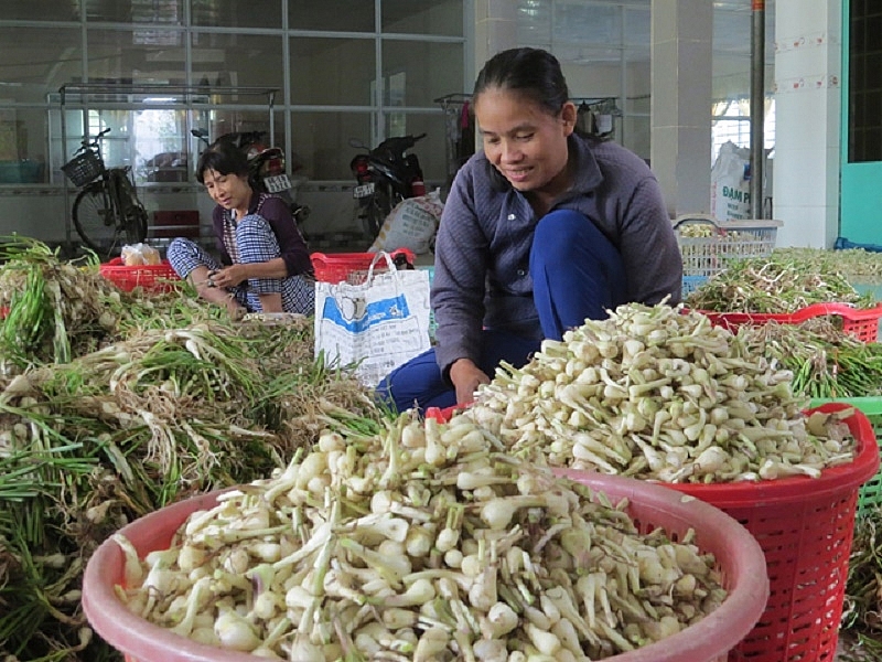 Giá thực phẩm hôm nay 11/1: Giá củ kiệu, củ hành tăng mạnh