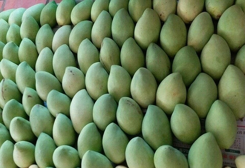 Giá thực phẩm hôm nay 25/1: Tiêu thụ chậm, giá xoài giảm mạnh