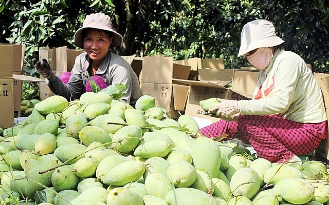 dong thap tim huong xuat khau vao dong au