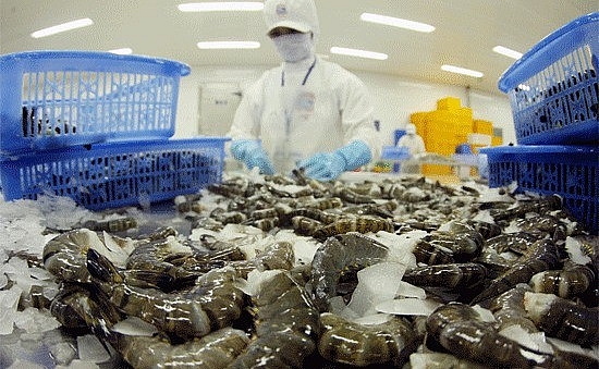 Xuất khẩu tôm sang khối có FTA tăng mạnh, doanh nghiệp mở rộng sản xuất