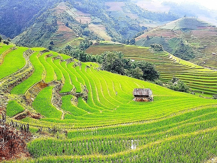 Du khách Việt mong muốn du lịch bền vững sau tác động từ đại dịch