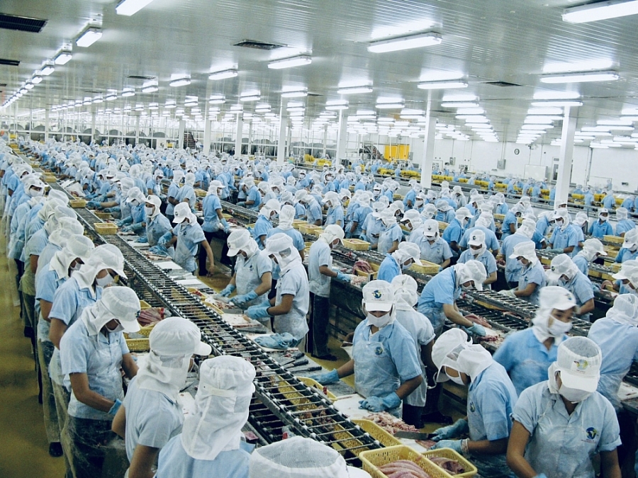 Xuất khẩu thủy sản Đồng bằng sông Cửu Long đứng đầu cả nước