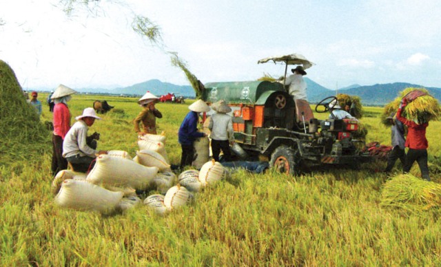 Sắp diễn ra Tuần lễ An ninh lương thực tại TP. Cần Thơ